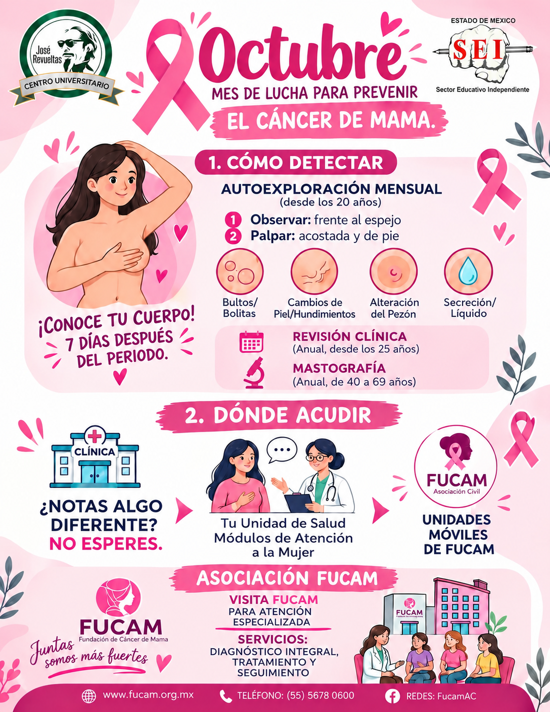 MES DE LUCHA PARA PREVENIR EL CÁNCER DE MAMA.